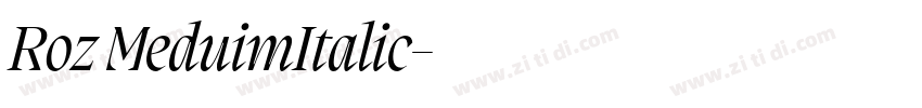 Roz MeduimItalic字体转换